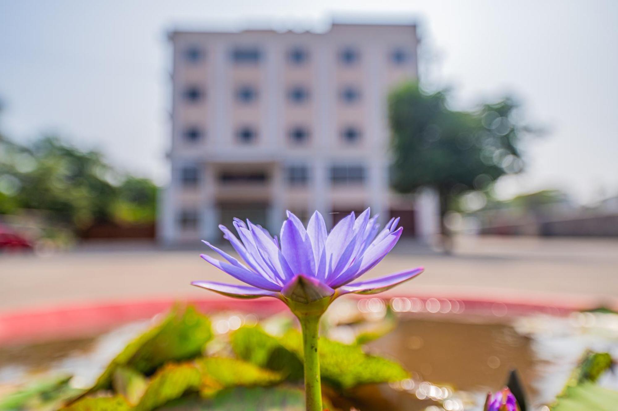 ホテル Lotus Leaf Pali  エクステリア 写真